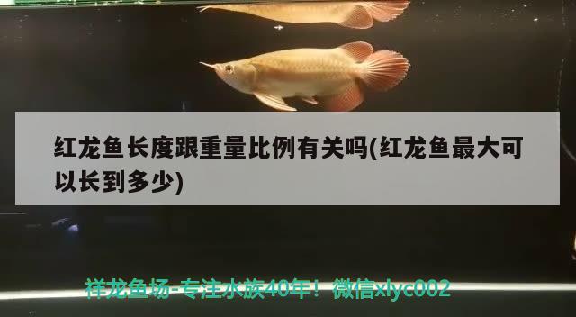 上海水族鱼缸批发市场地址查询大全电话（上海水族鱼缸批发市场地址查询大全电话）