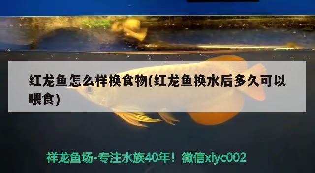 南京鱼缸定制推荐店家电话（南京办公室鱼缸哪家的好） 肥料 第2张