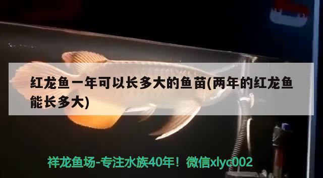 石家庄回收鱼缸二手市场在哪里（石家庄哪有收旧鱼缸的_） 帝王迷宫 第1张