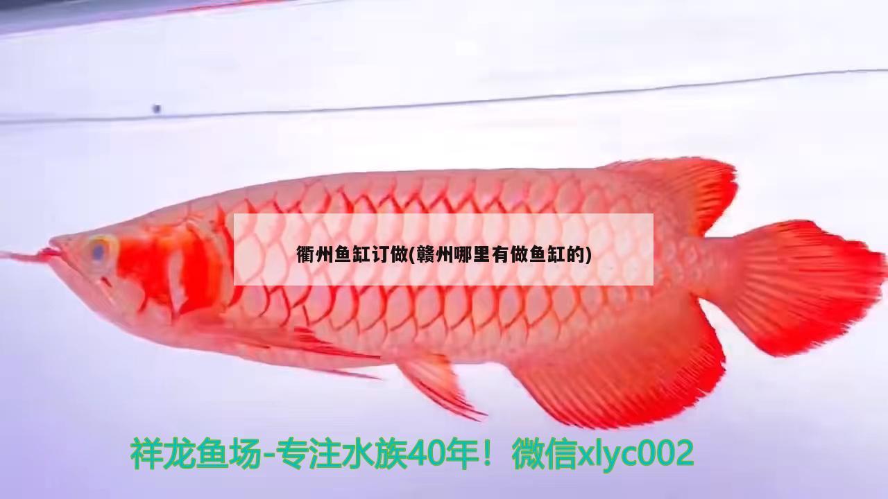 衢州鱼缸订做(赣州哪里有做鱼缸的) 广州祥龙国际水族贸易