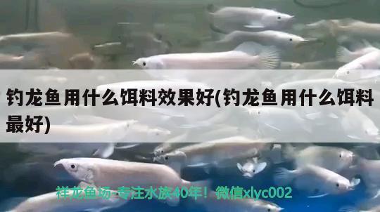 鱼缸哪个品牌的好：鱼缸哪种品牌好 水族维护服务（上门） 第2张