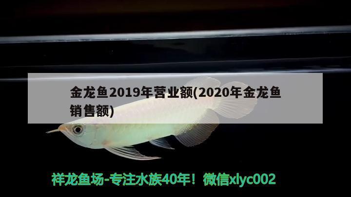 金龙鱼2019年营业额(2020年金龙鱼销售额)