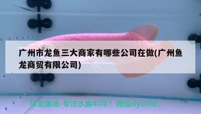 铜陵观赏鱼市场【2019山东展会安排】济南2019年展会2019年青岛展会时间表