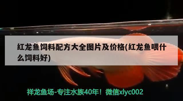 家里的鱼缸放在哪个位置好？鱼缸摆放位置的选择客厅卧室厨房其他位置，家里的鱼缸放在哪个位置好鱼缸摆放位置选择最适合的位置