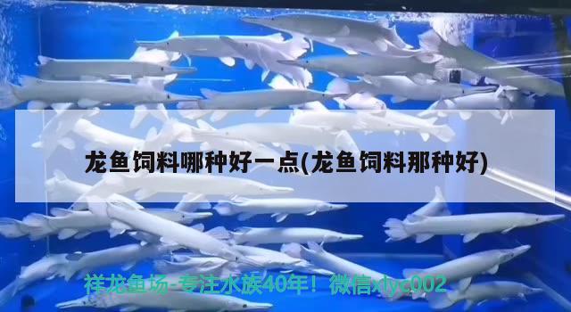 龙鱼饲料哪种好一点(龙鱼饲料那种好) 奈及利亚红圆点狗头