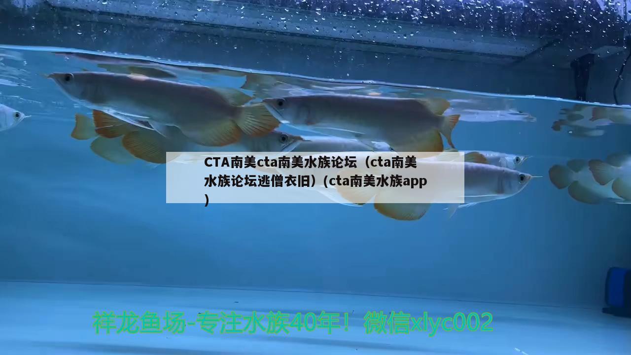 CTA南美cta南美水族论坛（cta南美水族论坛逃僧衣旧）(cta南美水族app)