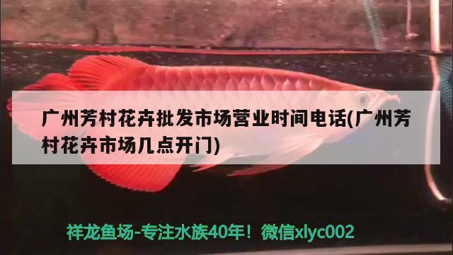 广州芳村花卉批发市场营业时间电话(广州芳村花卉市场几点开门) PH调节剂