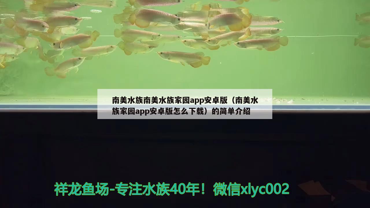 南美水族南美水族家园app安卓版（南美水族家园app安卓版怎么下载）的简单介绍 萨伊蓝鱼 第2张