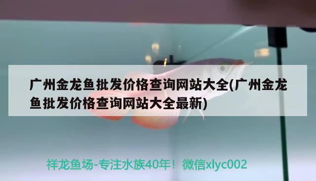 关刀和龙鱼混养需要喂食吗，斯威尼关刀和七彩神仙鱼能混养吗 七彩神仙鱼 第1张