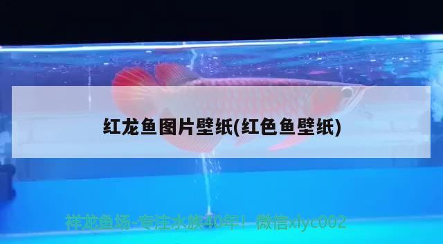 威宁县水晶水族馆 全国水族馆企业名录 第2张