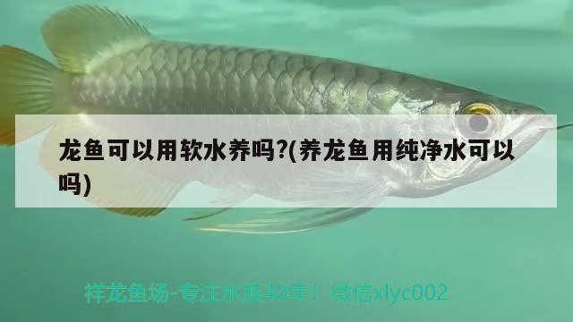 1.2米的鱼缸一天用多少电（12米鱼缸一月多少电费） 养鱼知识 第3张