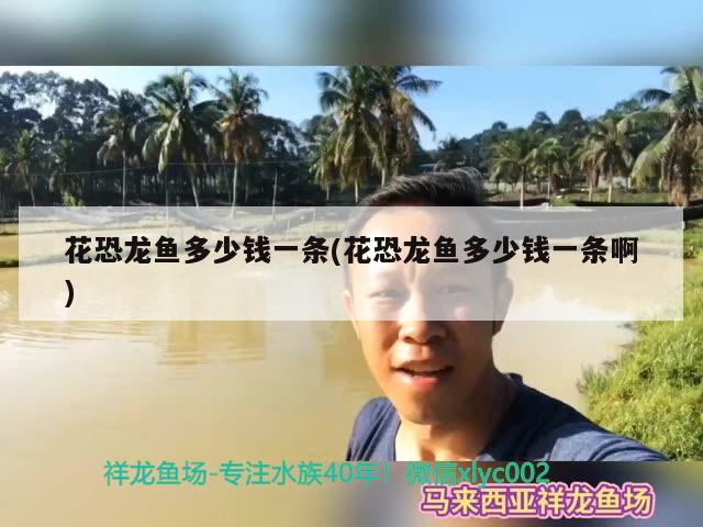 花恐龙鱼多少钱一条(花恐龙鱼多少钱一条啊) 斯维尼关刀鱼