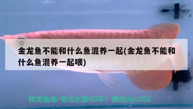 4、5、6三个月什么时候人相对少点，天气相对好点，大理丽江什么时候去景色比较好。天气好人少 养鱼的好处 第1张