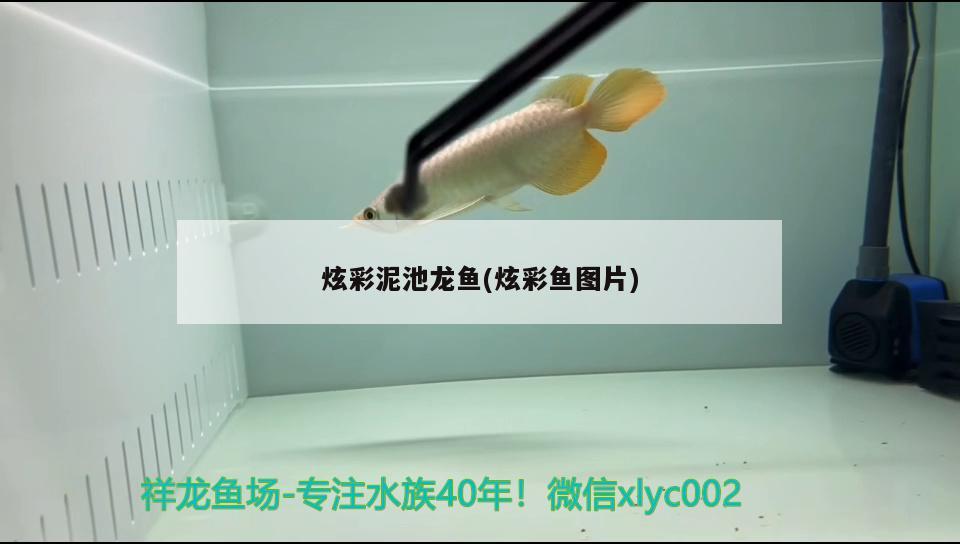 鱼缸换水后鱼出现泛白膜怎么办，鱼缸换水后水突然发白可以加盐吗