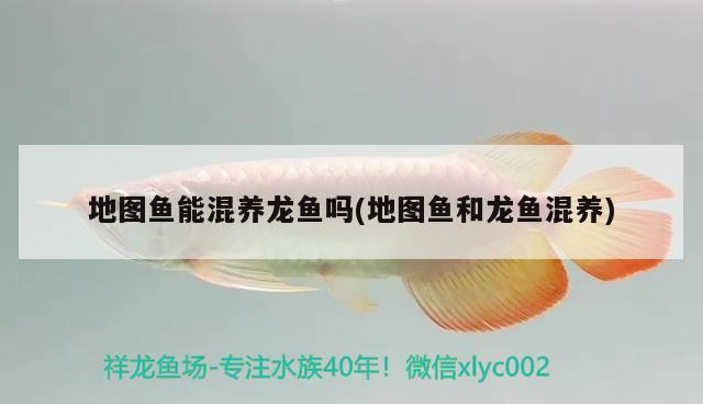 张店蛟泽水族用品店 水族用品 第3张