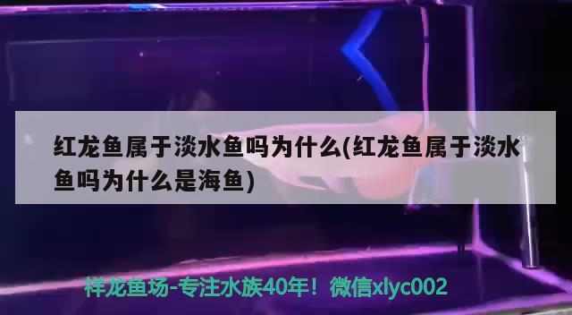 兰州鱼缸订做店地址电话（苹果授权专卖店查询方法谁知道） 其它水族用具设备 第4张