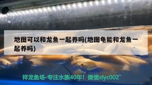 鱼缸出水怎么加氧气视频（如何利用鱼缸出水管增氧）