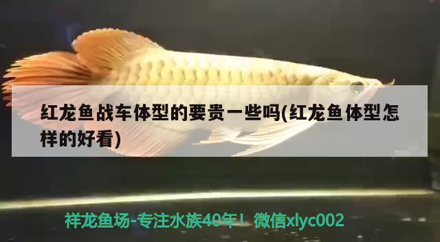 三明水族批发市场在哪里有卖的（三明水族批发市场在哪里有卖的啊）