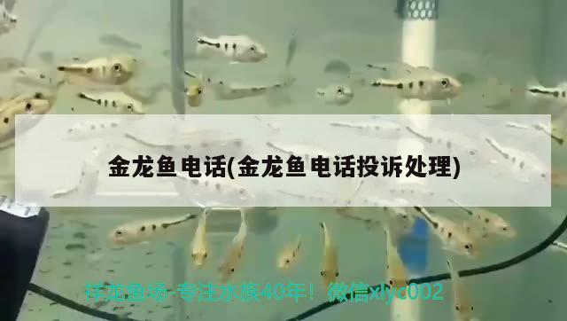 水族鱼缸代理 水族箱代理