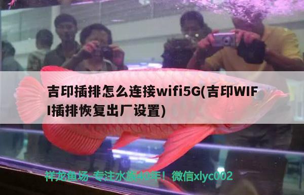 吉印插排怎么连接wifi5G(吉印WIFI插排恢复出厂设置) 吉印水族