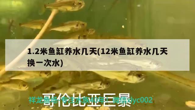 1.2米鱼缸养水几天(12米鱼缸养水几天换一次水) 观赏虾蟹等饲料