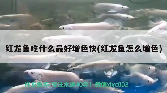 三米鱼缸多少钱（三米鱼缸多少钱一个） 鱼缸百科 第1张