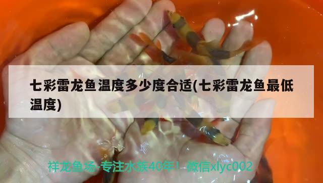 济南市天桥区豆宠佳宠物店