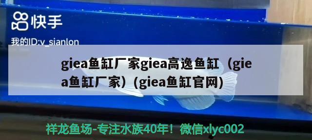 giea鱼缸厂家giea高逸鱼缸（giea鱼缸厂家）(giea鱼缸官网)