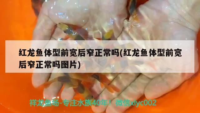 哪里买鱼缸柜便宜：鱼缸去哪里买价格便宜 广州水族批发市场 第2张