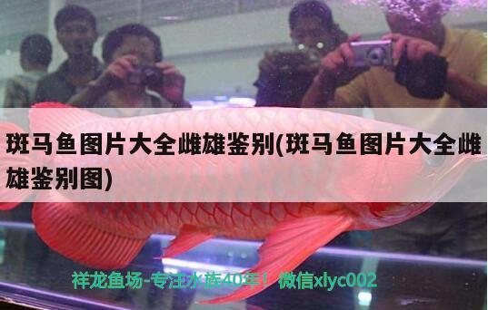 东胜区老马花店 全国水族馆企业名录 第3张