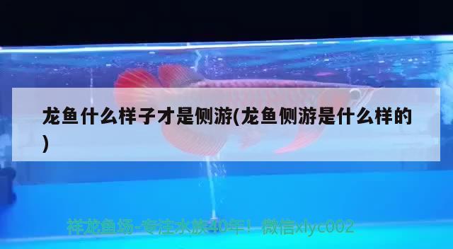 路亚水滴轮使用过程以及经验详解 广州龙鱼批发市场 第1张