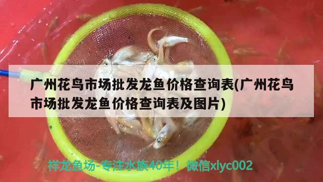 家居风水鱼缸的摆放禁忌(摆放鱼缸的风水学) 鱼缸风水 第2张