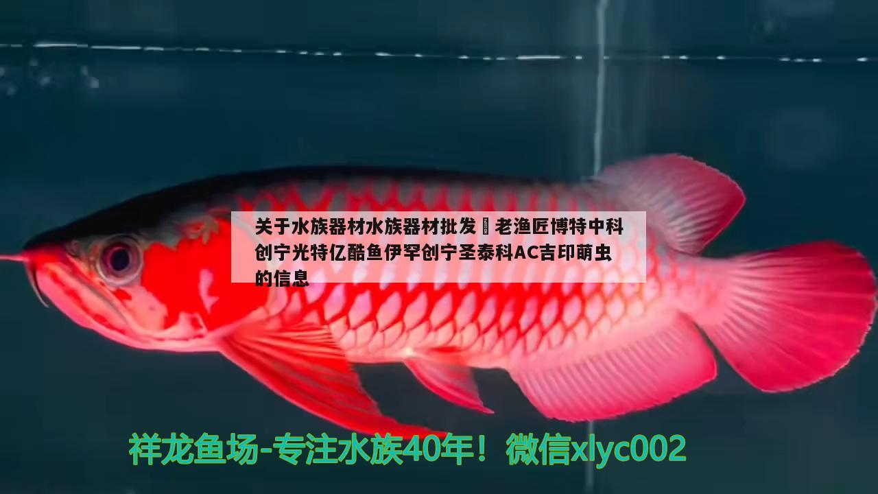 关于水族器材水族器材批发☞老渔匠博特中科创宁光特亿酷鱼伊罕创宁圣泰科AC吉印萌虫的信息