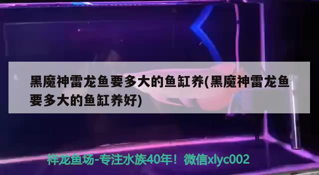 哈尔滨海水观赏鱼店在哪：哈尔滨观赏鱼进货渠道 广州水族批发市场 第1张