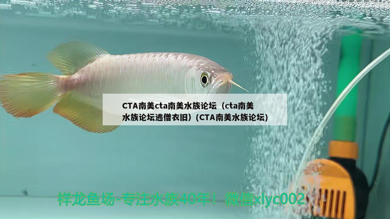 CTA南美cta南美水族论坛（cta南美水族论坛逃僧衣旧）(CTA南美水族论坛) 龙鱼芯片扫码器