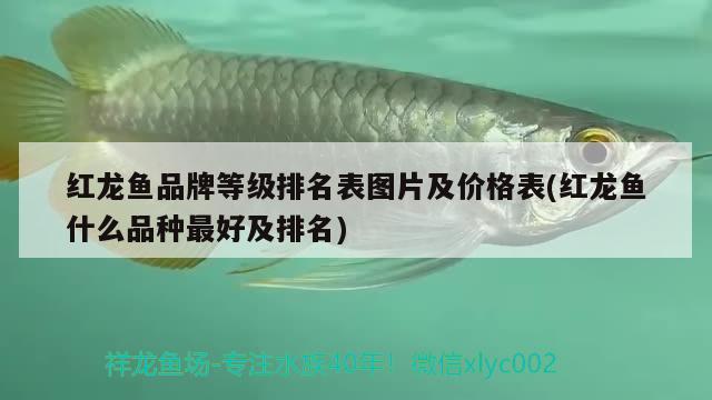 风水鱼缸尺寸算不算柜子尺寸大小（鱼缸架子跟鱼缸尺寸一样吗） 哥伦比亚巨暴鱼苗 第2张