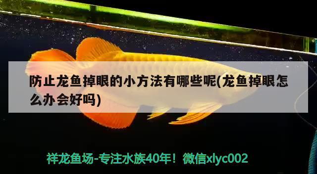 鹤壁新区哪里有卖鱼缸的店啊电话多少（黄酒是指什么酒） 水族世界 第1张