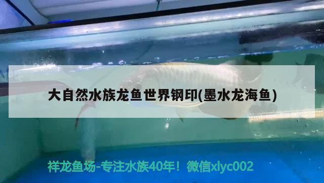 大自然水族龙鱼世界钢印(墨水龙海鱼)