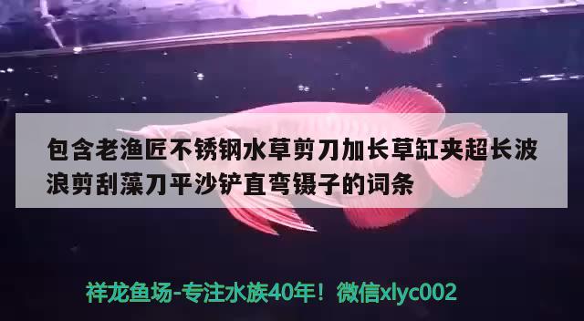 包含老渔匠不锈钢水草剪刀加长草缸夹超长波浪剪刮藻刀平沙铲直弯镊子的词条