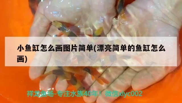 小鱼缸怎么画图片简单(漂亮简单的鱼缸怎么画)