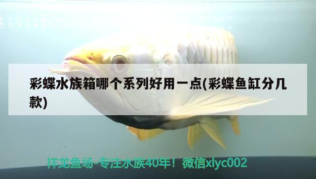 彩蝶水族箱哪个系列好用一点(彩蝶鱼缸分几款) 鱼缸/水族箱