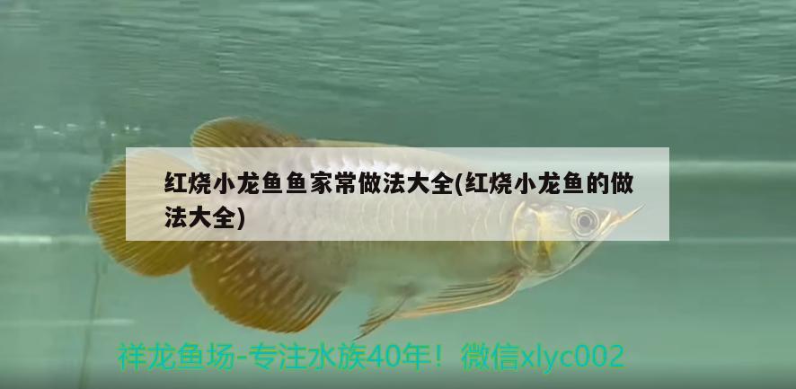 鱼缸进出水口怎么设置(鱼缸进出水口摆放位置) 水族世界