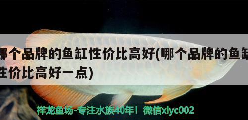 请问18米乘07米的底滤缸用多大的泵 红尾平克鱼 第1张