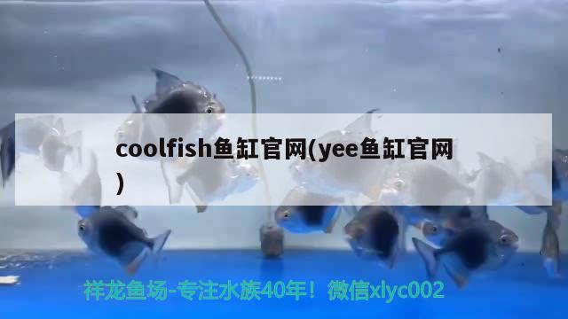 coolfish鱼缸官网(yee鱼缸官网) yee 第2张