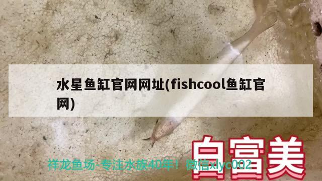 水星鱼缸官网网址(fishcool鱼缸官网) 肺鱼