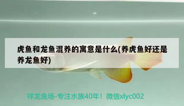 58同城二手鱼缸转让包头电话多少（58同城二手鱼缸转让包头电话多少啊）