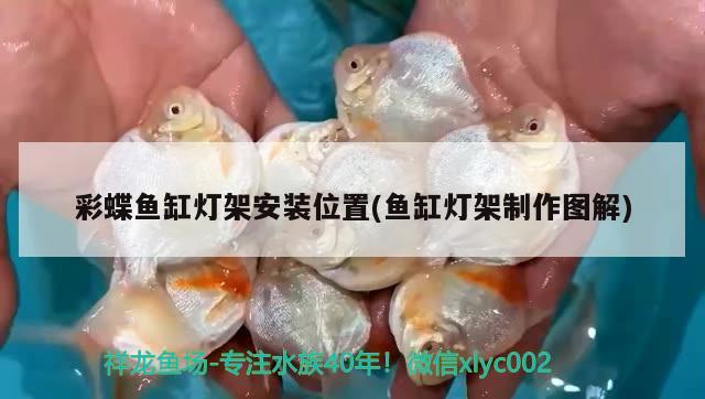 彩蝶鱼缸灯架安装位置(鱼缸灯架制作图解) 申古三间鱼