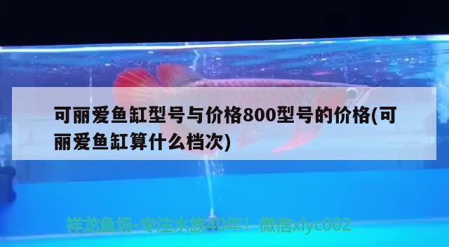 可丽爱鱼缸型号与价格800型号的价格(可丽爱鱼缸算什么档次) 帝王血钻