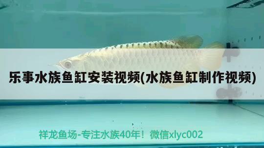 乐事水族鱼缸安装视频(水族鱼缸制作视频) 野彩鱼