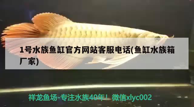 1号水族鱼缸官方网站客服电话(鱼缸水族箱厂家) 鱼缸/水族箱